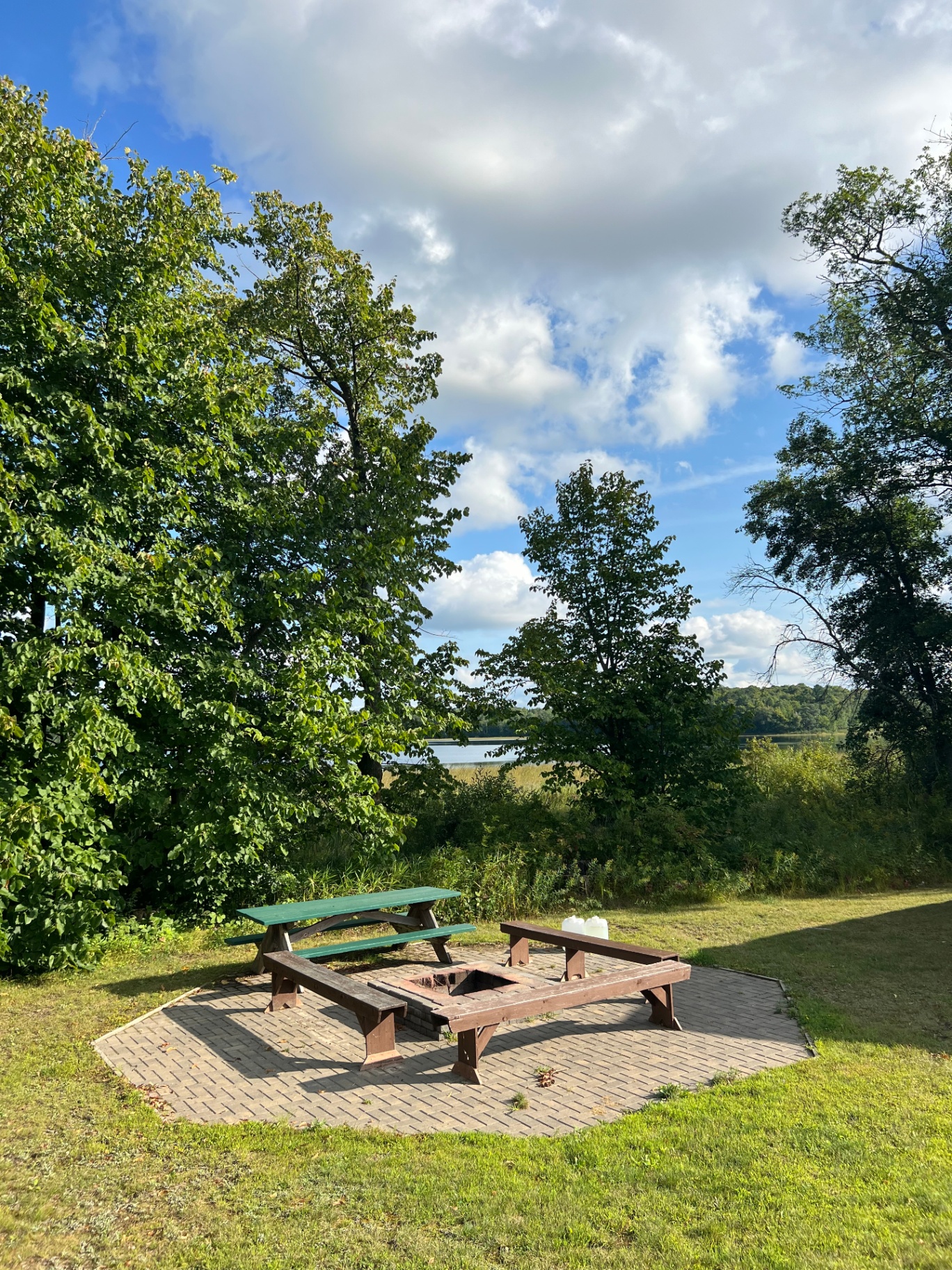 Firepit area by the trees